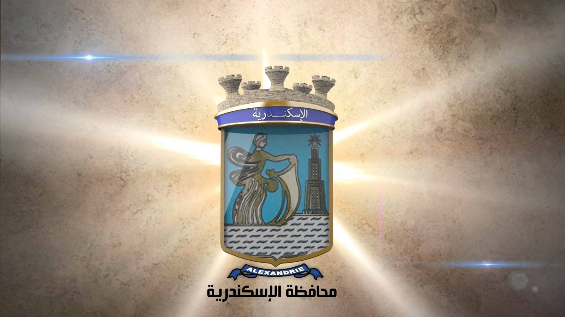 الدكتور محمد سلطان محافظ الإسكندرية