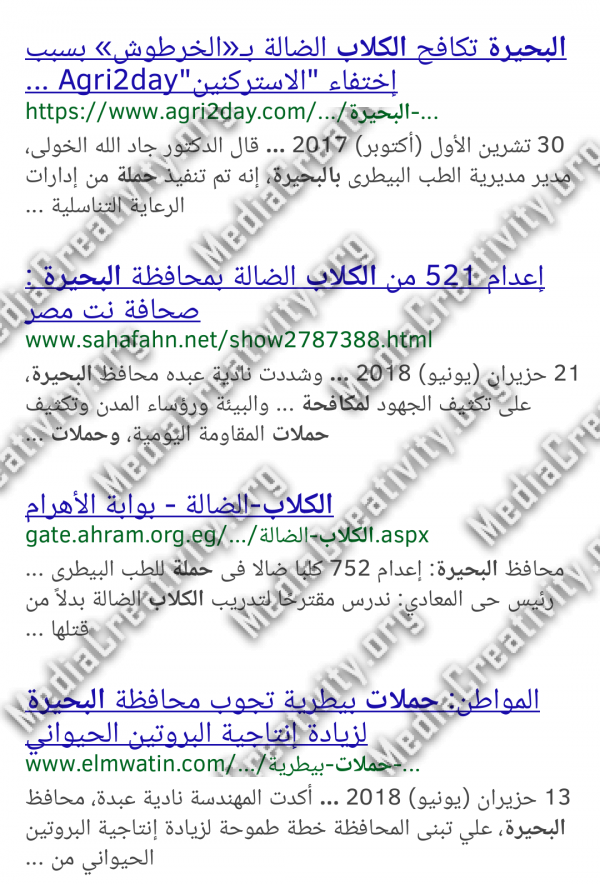مؤسسة الإبداع الإعلامي